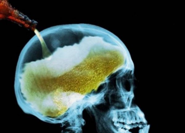 Алкоголь оказывает разрушающее действие на мозг человека. 