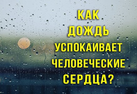 Что обязан делать каждый мусульманин. Смотреть фото Что обязан делать каждый мусульманин. Смотреть картинку Что обязан делать каждый мусульманин. Картинка про Что обязан делать каждый мусульманин. Фото Что обязан делать каждый мусульманин