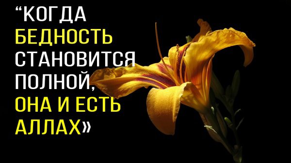 Разъяснение того, что такое бедность и кто такой бедняк