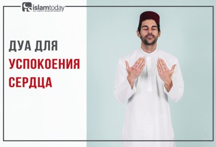 какие суры читают в намазе после фатихи. Смотреть фото какие суры читают в намазе после фатихи. Смотреть картинку какие суры читают в намазе после фатихи. Картинка про какие суры читают в намазе после фатихи. Фото какие суры читают в намазе после фатихи