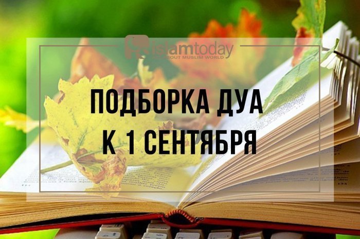 Стремление к знаниям - обязанность каждого верующего (Фото: ped-kopilka.ru/).