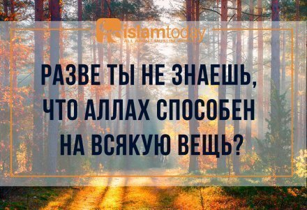 что такое кыйбла в исламе. Смотреть фото что такое кыйбла в исламе. Смотреть картинку что такое кыйбла в исламе. Картинка про что такое кыйбла в исламе. Фото что такое кыйбла в исламе