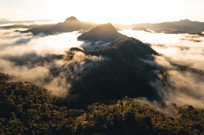 (Фото: elements.envato.com, автор ArtRachen).