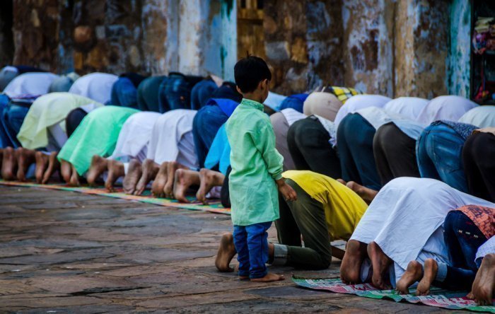 Фото: Dilchaspiyaan/ shutterstock.com