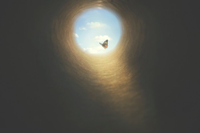 Фото: Cristina Conti / shutterstock.com.
