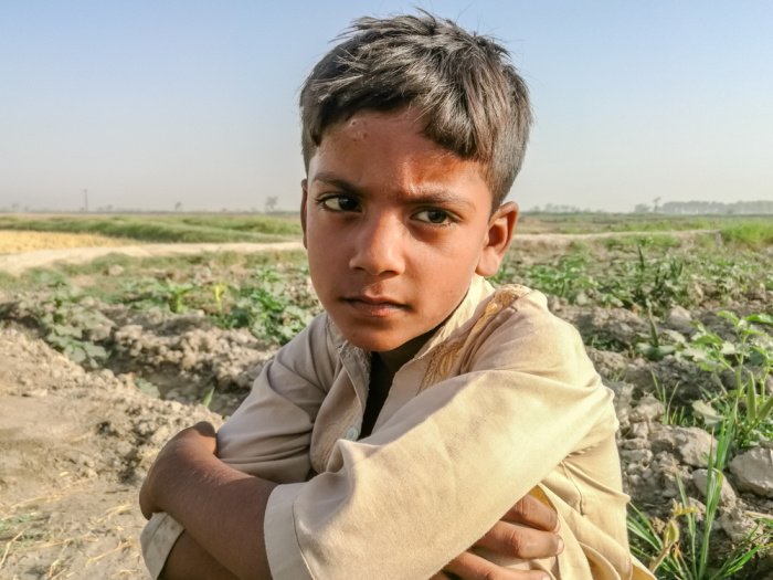 Фото: Magsi/ shutterstock.com
