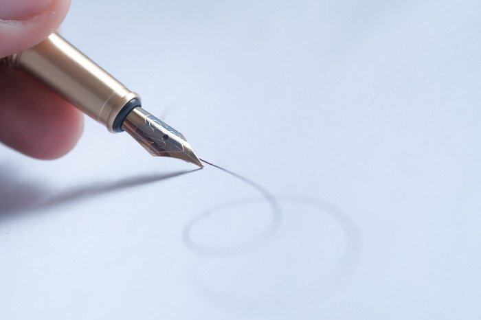 Фото: towfiqu98 / elements.envato.com/ru