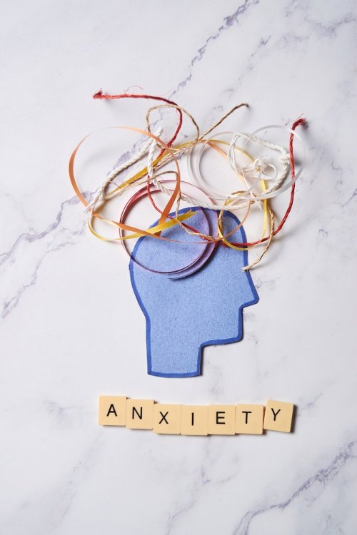 Фото: FabianMontano / elements.envato.com/ru