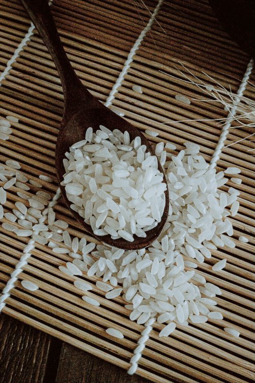 Фото: gubastik99 / elements.envato.com