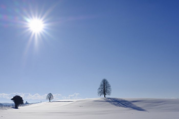 Фото: elements.envato.com, автор: westend61