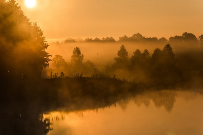 Фото: elements.envato.com, автор: merc67