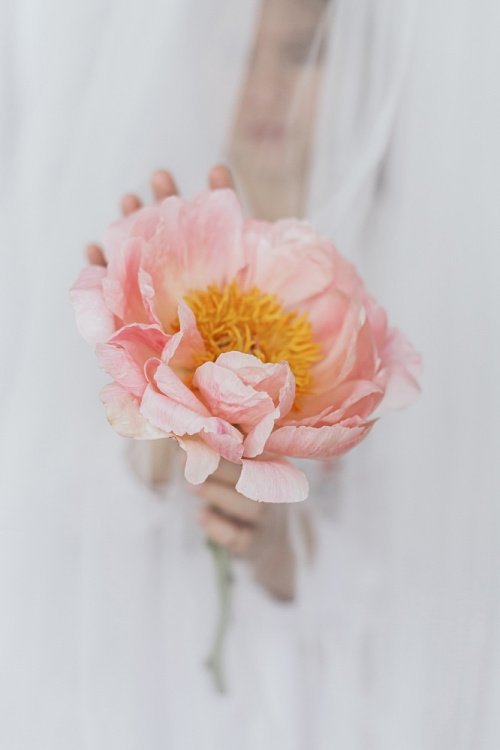 Фото: Sonyachny / elements.envato.com 