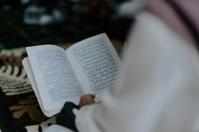 Фото: Bagja89 / shutterstock.com