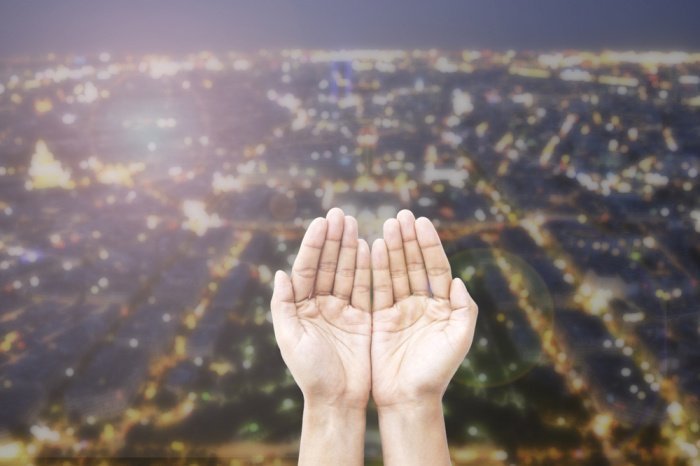 Фото: Art Stocker / shutterstock.com