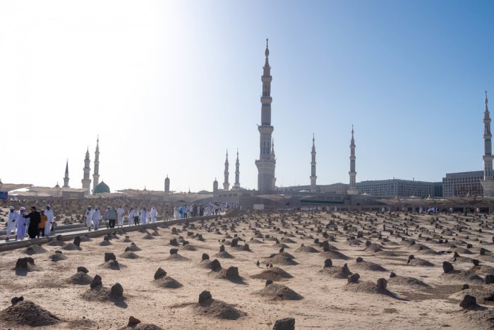 Фото: Andrew V Marcus / shutterstock.com.