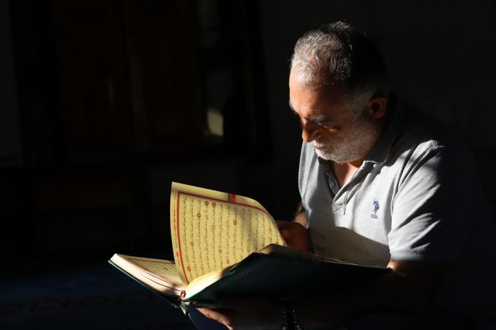 Фото: Alfa Net / shutterstock.com