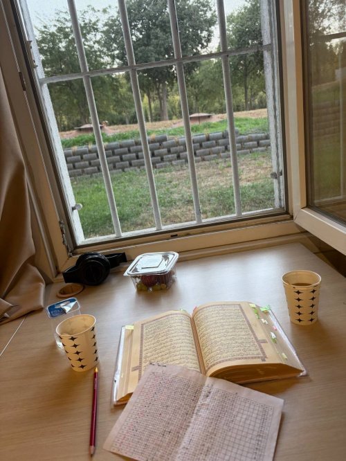 Фото предоставлено Алией Тазиевой.