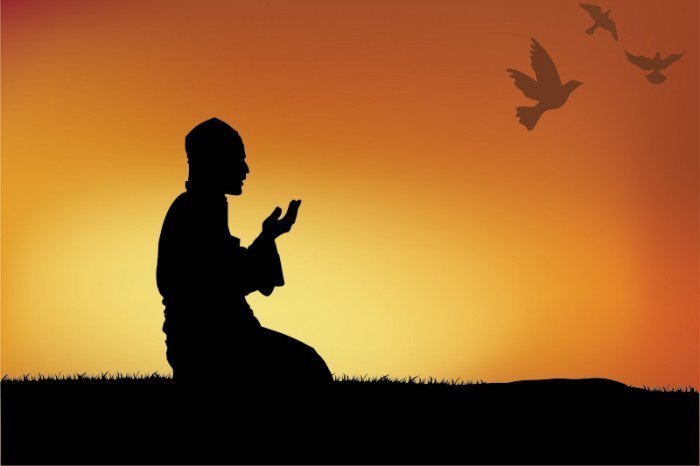 Фото: shutterstock.com Автор: buttet 