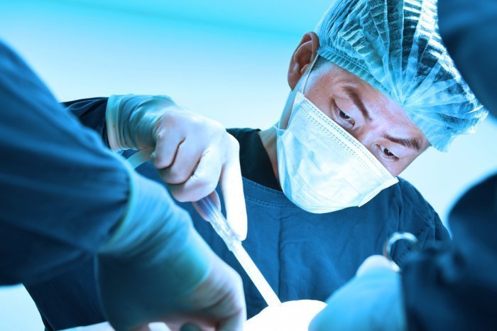 Фото: nimon / shutterstock.com