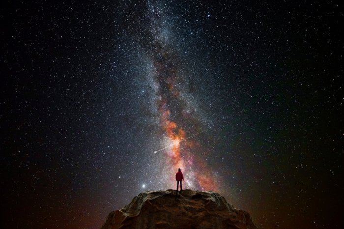 Фото: Teo Tarras / shutterstock.com