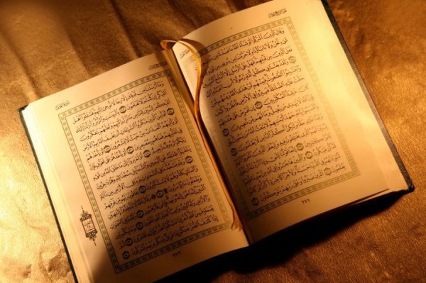 Сколько букв и слов в Коране?