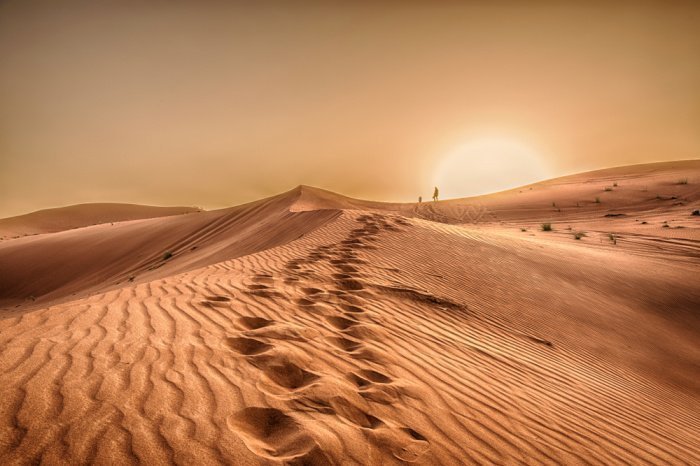 https://www.shutterstock.com/