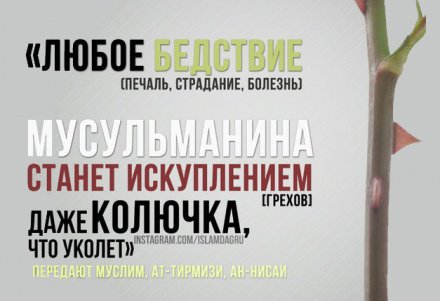 что делать если нет воды для омовения. Смотреть фото что делать если нет воды для омовения. Смотреть картинку что делать если нет воды для омовения. Картинка про что делать если нет воды для омовения. Фото что делать если нет воды для омовения