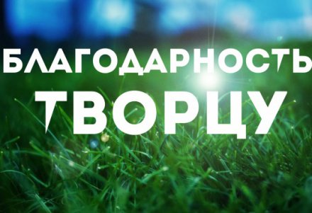 что такое настоящий мусульманин. Смотреть фото что такое настоящий мусульманин. Смотреть картинку что такое настоящий мусульманин. Картинка про что такое настоящий мусульманин. Фото что такое настоящий мусульманин
