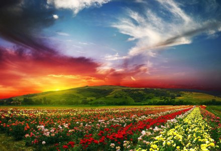 preview Кто такие ханифы в исламе