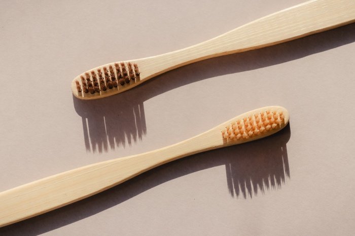 Фото: svitlanaozirna/ elements.envato.com