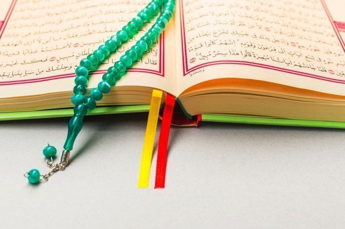 Фото: FabrikaPhoto/elements.envato.com