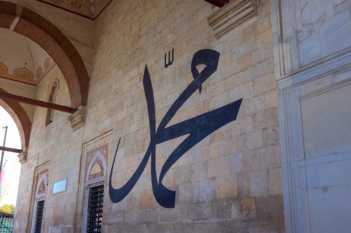 Фото: Sener Dagasan / shutterstock.com