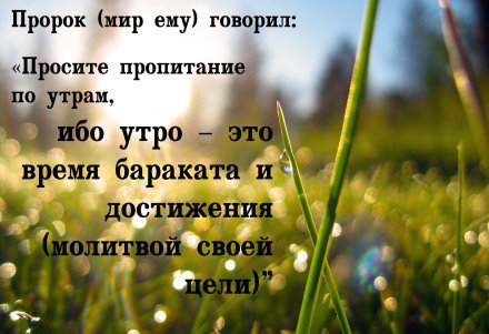 preview Кто такие ханифы в исламе