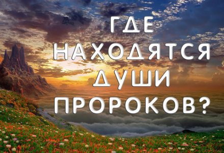 какие суннат намазы есть. Смотреть фото какие суннат намазы есть. Смотреть картинку какие суннат намазы есть. Картинка про какие суннат намазы есть. Фото какие суннат намазы есть