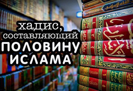 можно ли есть мясо краба мусульманам. Смотреть фото можно ли есть мясо краба мусульманам. Смотреть картинку можно ли есть мясо краба мусульманам. Картинка про можно ли есть мясо краба мусульманам. Фото можно ли есть мясо краба мусульманам