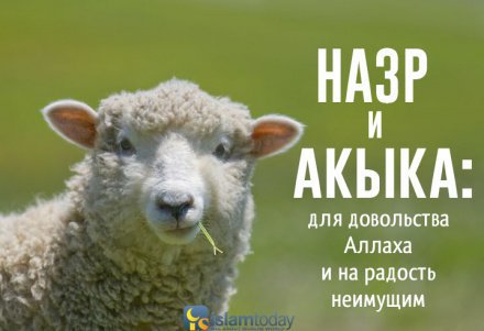 preview какой номер у аллаха