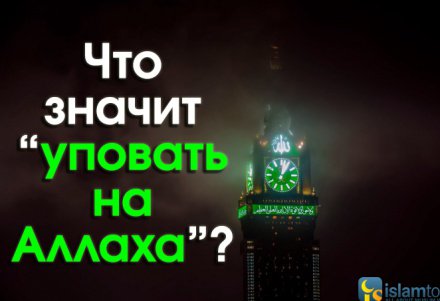 Что нельзя кушать мусульманам. Смотреть фото Что нельзя кушать мусульманам. Смотреть картинку Что нельзя кушать мусульманам. Картинка про Что нельзя кушать мусульманам. Фото Что нельзя кушать мусульманам