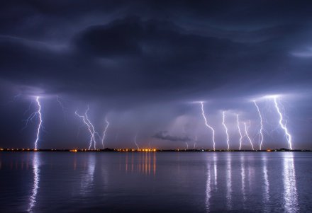 Что нельзя кушать мусульманам. Смотреть фото Что нельзя кушать мусульманам. Смотреть картинку Что нельзя кушать мусульманам. Картинка про Что нельзя кушать мусульманам. Фото Что нельзя кушать мусульманам