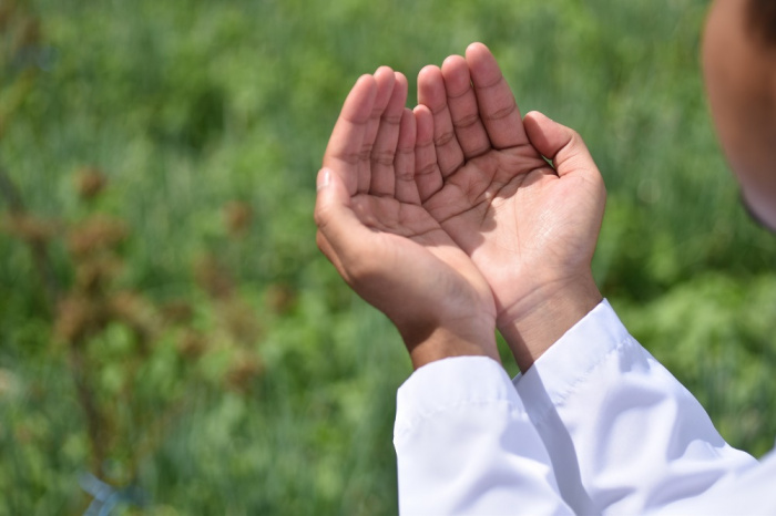 Фото: wirestock/elements.envato.com