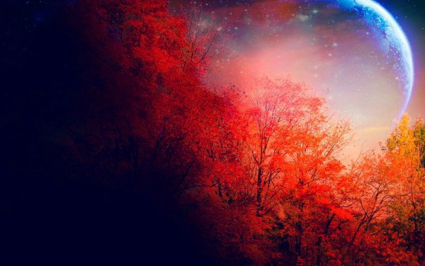 сафар праздник у мусульман. Смотреть фото сафар праздник у мусульман. Смотреть картинку сафар праздник у мусульман. Картинка про сафар праздник у мусульман. Фото сафар праздник у мусульман