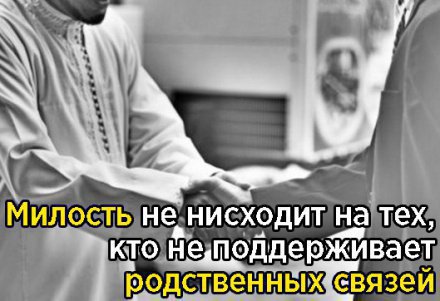 что в исламе говорится о неверующих. preview. что в исламе говорится о неверующих фото. что в исламе говорится о неверующих-preview. картинка что в исламе говорится о неверующих. картинка preview.
