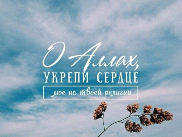 скажи моим рабам что я прощающий милосердный но наказание. Смотреть фото скажи моим рабам что я прощающий милосердный но наказание. Смотреть картинку скажи моим рабам что я прощающий милосердный но наказание. Картинка про скажи моим рабам что я прощающий милосердный но наказание. Фото скажи моим рабам что я прощающий милосердный но наказание скажи моим рабам что я прощающий милосердный но наказание. Смотреть фото скажи моим рабам что я прощающий милосердный но наказание. Смотреть картинку скажи моим рабам что я прощающий милосердный но наказание. Картинка про скажи моим рабам что я прощающий милосердный но наказание. Фото скажи моим рабам что я прощающий милосердный но наказание