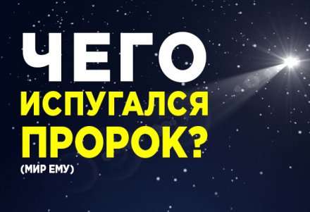 мясо жертвенного животного шашлык можно или нет. Смотреть фото мясо жертвенного животного шашлык можно или нет. Смотреть картинку мясо жертвенного животного шашлык можно или нет. Картинка про мясо жертвенного животного шашлык можно или нет. Фото мясо жертвенного животного шашлык можно или нет