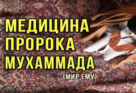 какая птица была вестником пророка сулеймана. Смотреть фото какая птица была вестником пророка сулеймана. Смотреть картинку какая птица была вестником пророка сулеймана. Картинка про какая птица была вестником пророка сулеймана. Фото какая птица была вестником пророка сулеймана